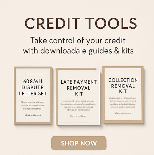 AstraVia Late Payment Removal System-Standard Edition