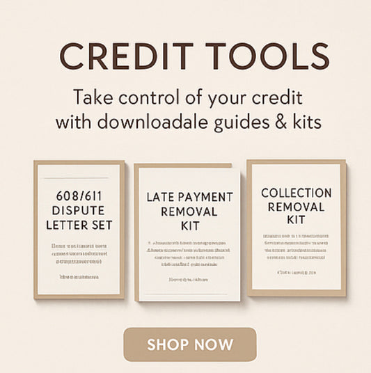 AstraVia Late Payment Removal System-Standard Edition